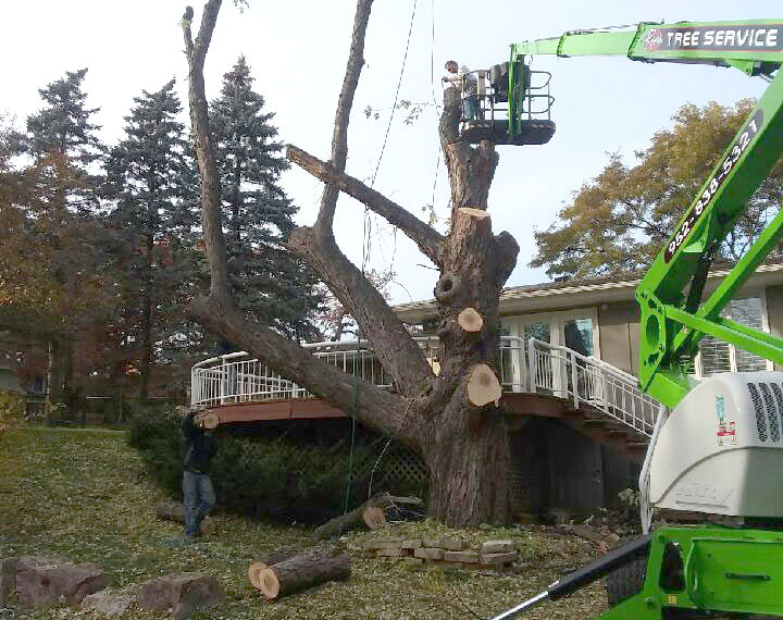 Tree Removal in Edina with lift, chainsaw, and safety equipment.