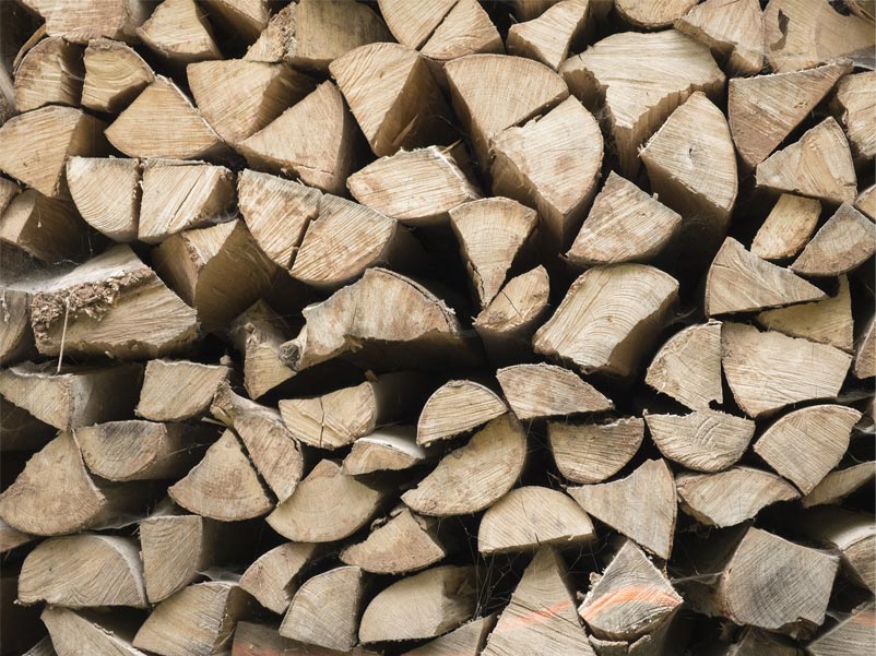 Stacked, seasoned firewood.