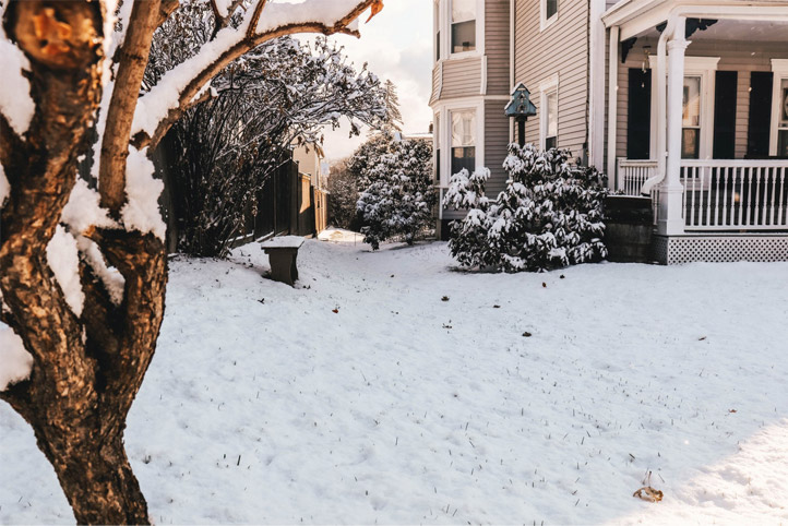 Home in winter, with trees in the foreground and background.