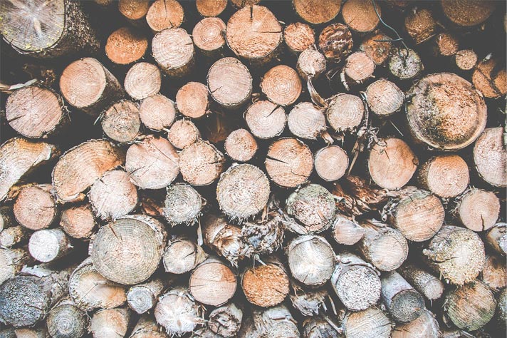 Ash and Oak winter firewoods stacked outside.