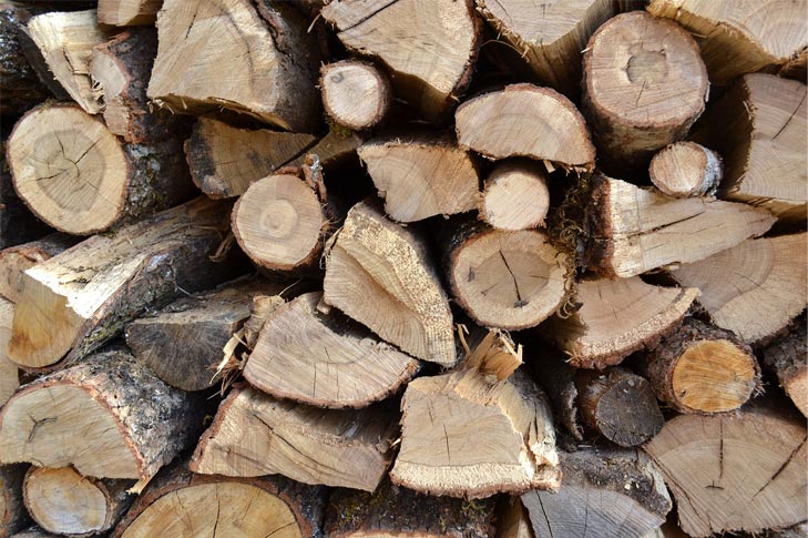 Seasoned firewood tips from Ron’s.