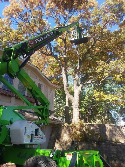Man in green aerial lift trimming a tree
