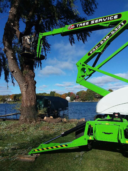 Lake side tree trimming