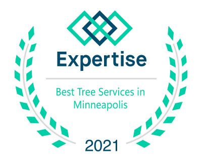 Best Tree Service Professionals in Minneapolis