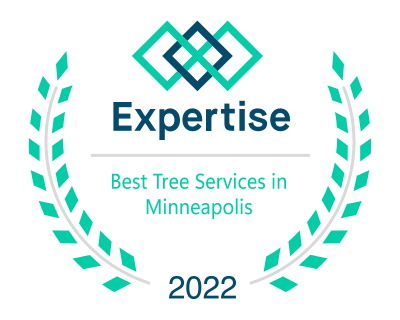 Best Tree Service Professionals in Minneapolis